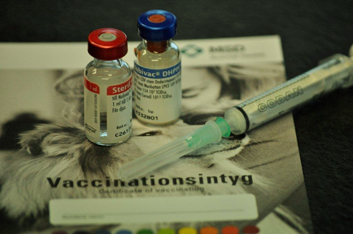 Rabies vaccin hund